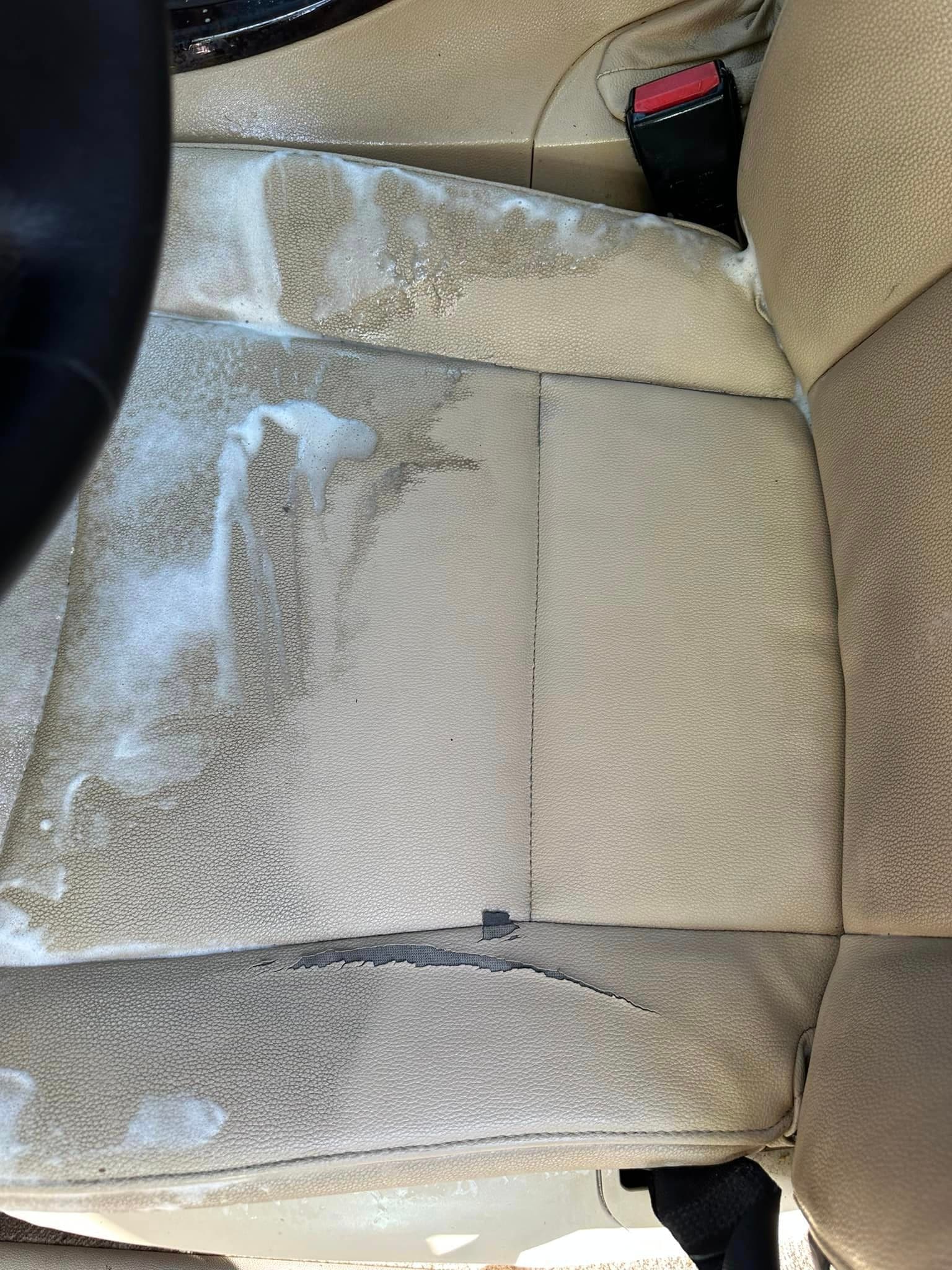 Auto Detailing - BMW 3-Series cabin - Professional Detailing Wisconsin Dells