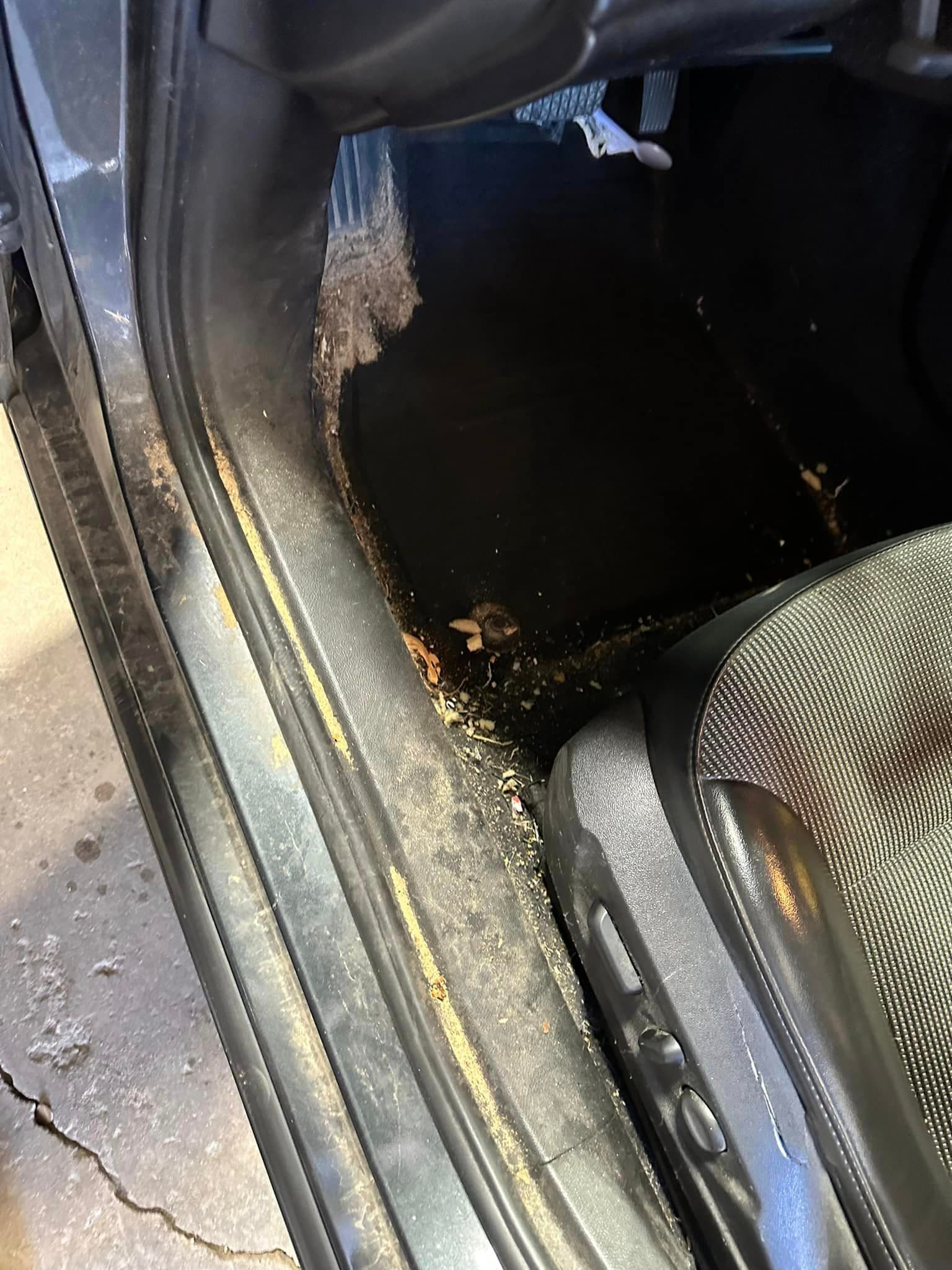 Auto Detailing - Chevrolet Malibu interior - Professional Detailing Wisconsin Dells
