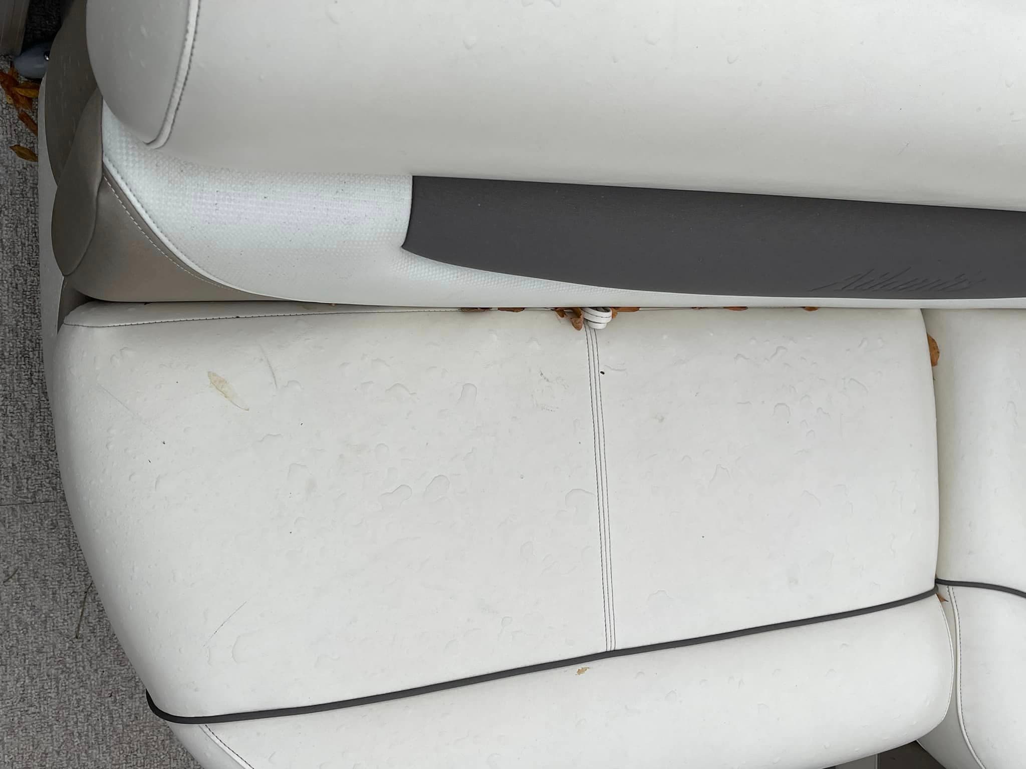 Auto Detailing - Pontoon boat vinyl - Professional Detailing Wisconsin Dells