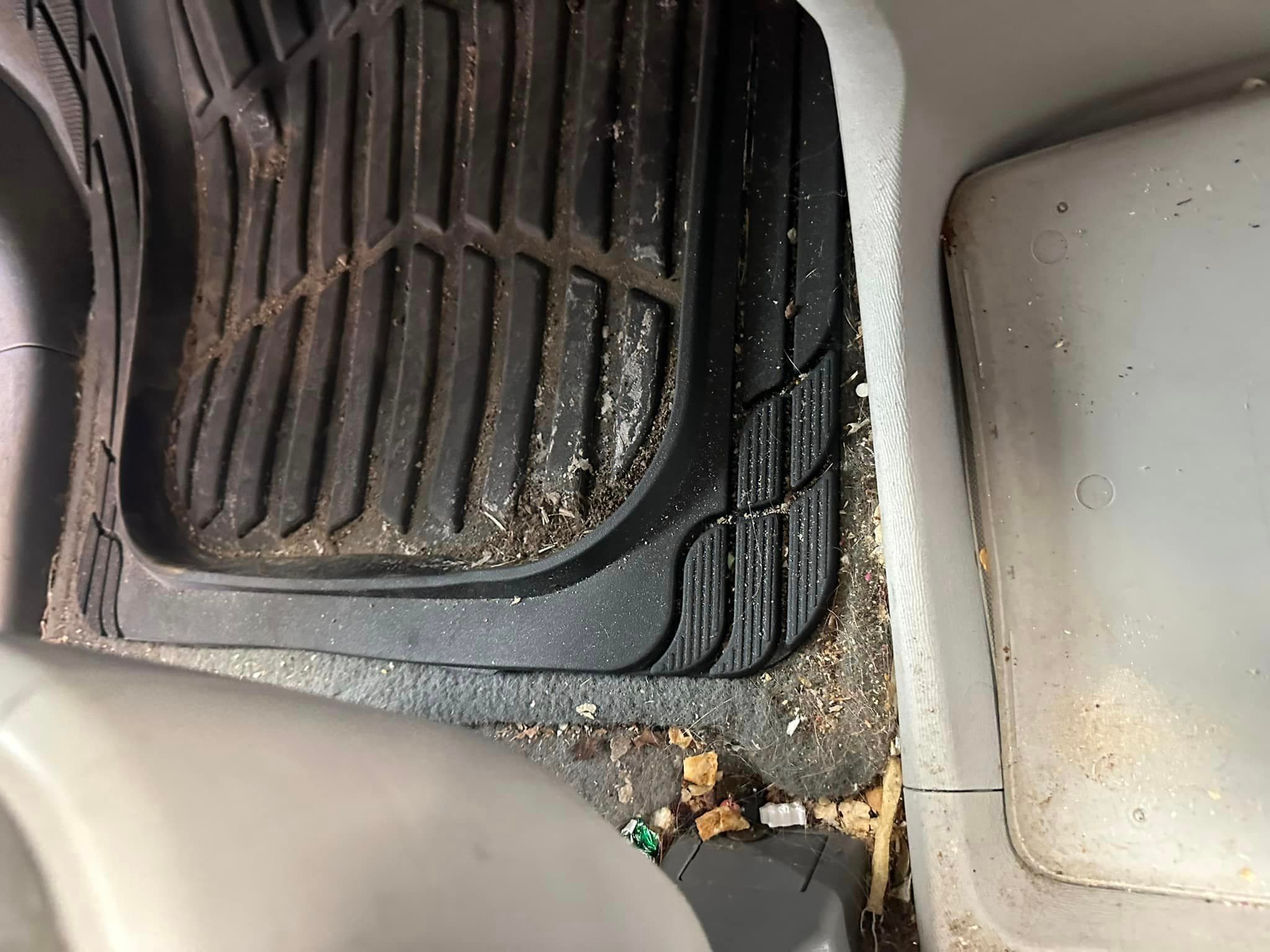Auto Detailing - Toyota Sienna seat detail - Professional Detailing Wisconsin Dells