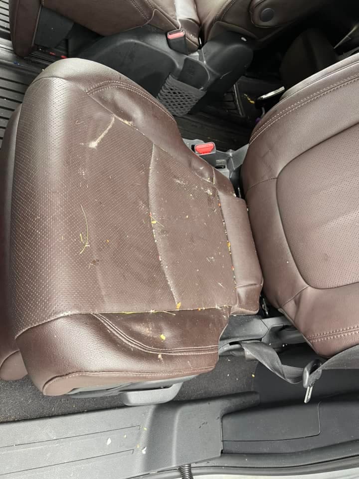 Auto Detailing - Toyota Sienna second row before - Professional Detailing Wisconsin Dells